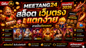 Meetang24